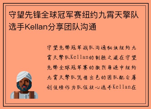 守望先锋全球冠军赛纽约九霄天擎队选手Kellan分享团队沟通