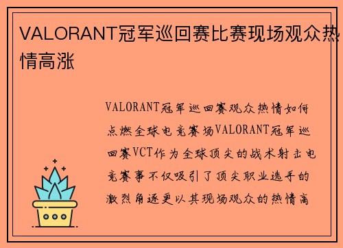 VALORANT冠军巡回赛比赛现场观众热情高涨