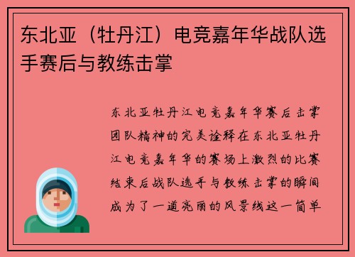 东北亚（牡丹江）电竞嘉年华战队选手赛后与教练击掌