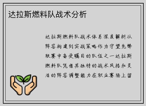 达拉斯燃料队战术分析